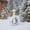1 - Multicolor, variant on Aurorax Winter Porch Goose Outfit 19 inch,Goose Clothes for Cement Goose Porch Goose 23"/17",Christmas Porch Goose Costume for Outdoor Yard