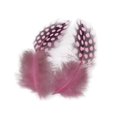 thumbnail image 1 of 50 Piezas Hermosos Teñidos de s de de de Pollo Decoración Artesanal Rosado Baoblaze Plumas de gallo faisán, 1 of 8