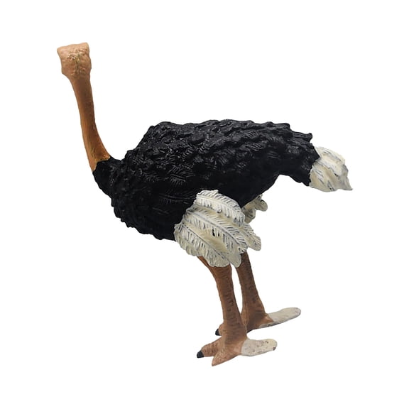 Realistic Ostrichs Figurine Ostrichs Action Figure Wildlife Animals Collection Playset Educational Learning Toy Decors