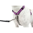 PetSafe 3 in 1 Harness, Fully Adjustable NoPull Dog Harness and Car