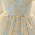 thumbnail image 5 of NAISIBABY Girls Princess Dress 8T, Pearl Waist Lace Ruffles Sleeve Floral Embroidered Birthday Wedding Pageant Formal Dress Light Blue, 5 of 8