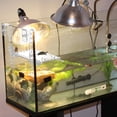 thumbnail image 1 of LEEYNEER 1Ensemble Plateforme Acrylique Transparente pour Réservoir de Tortue et Zone de Repos, 1 of 8