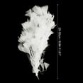 thumbnail image 2 of Uxcell 10-12 Inch Turkey Feathers, 1 Set Fluffy Bulk Natural Feathers for Crafts, White, 2 of 5