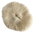 thumbnail image 4 of Miangastore 1 Pce Ornement en Forme de Champignon Corail Décoration Maison Chic Rangement Bijoux, 4 of 9