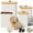 White, variant on Kitchen Canisters for Countertop Set of 4 - Textured Iron Kitchen Canisters with Airtight Lids - Flour Sugar Canister Set - Flour and Sugar Containers Farmhouse - Coffee Jar for Counter - Black