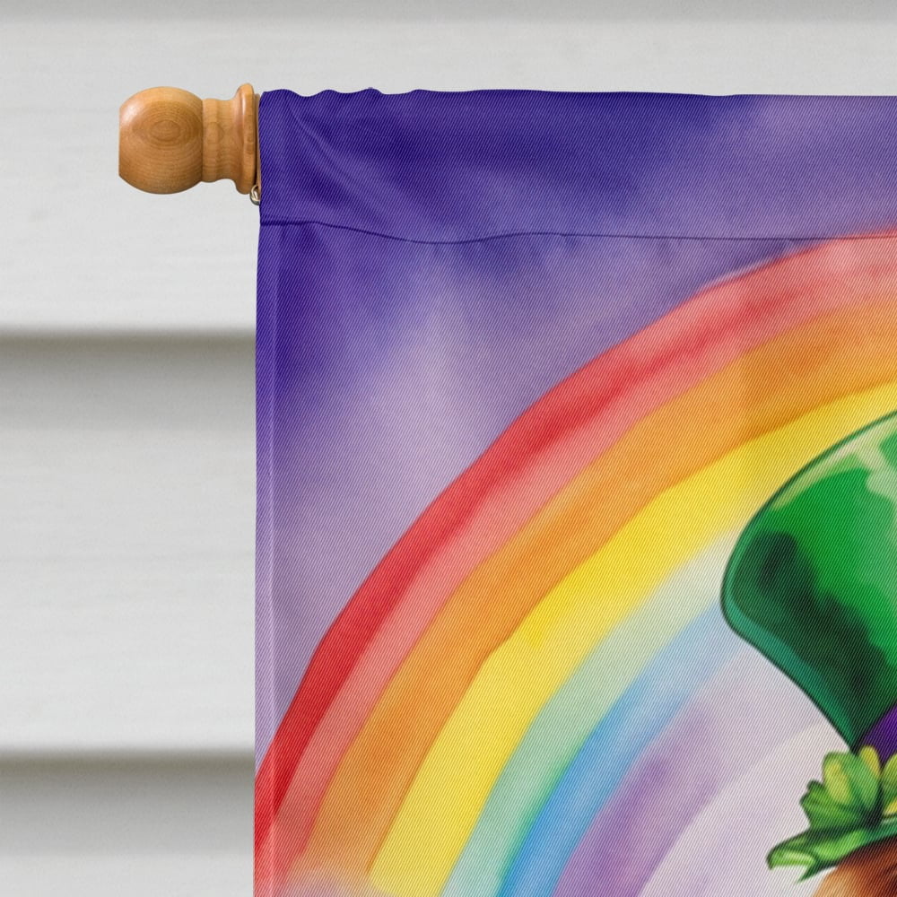 Nova Scotia Duck Tolling Retriever St Patrick's Day House Flag 28 in x 40 in