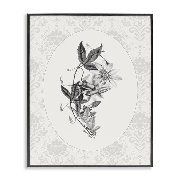 Stupell Industries Vintage Botanical & Lace Black Framed Giclee Art, design by CAD Designs