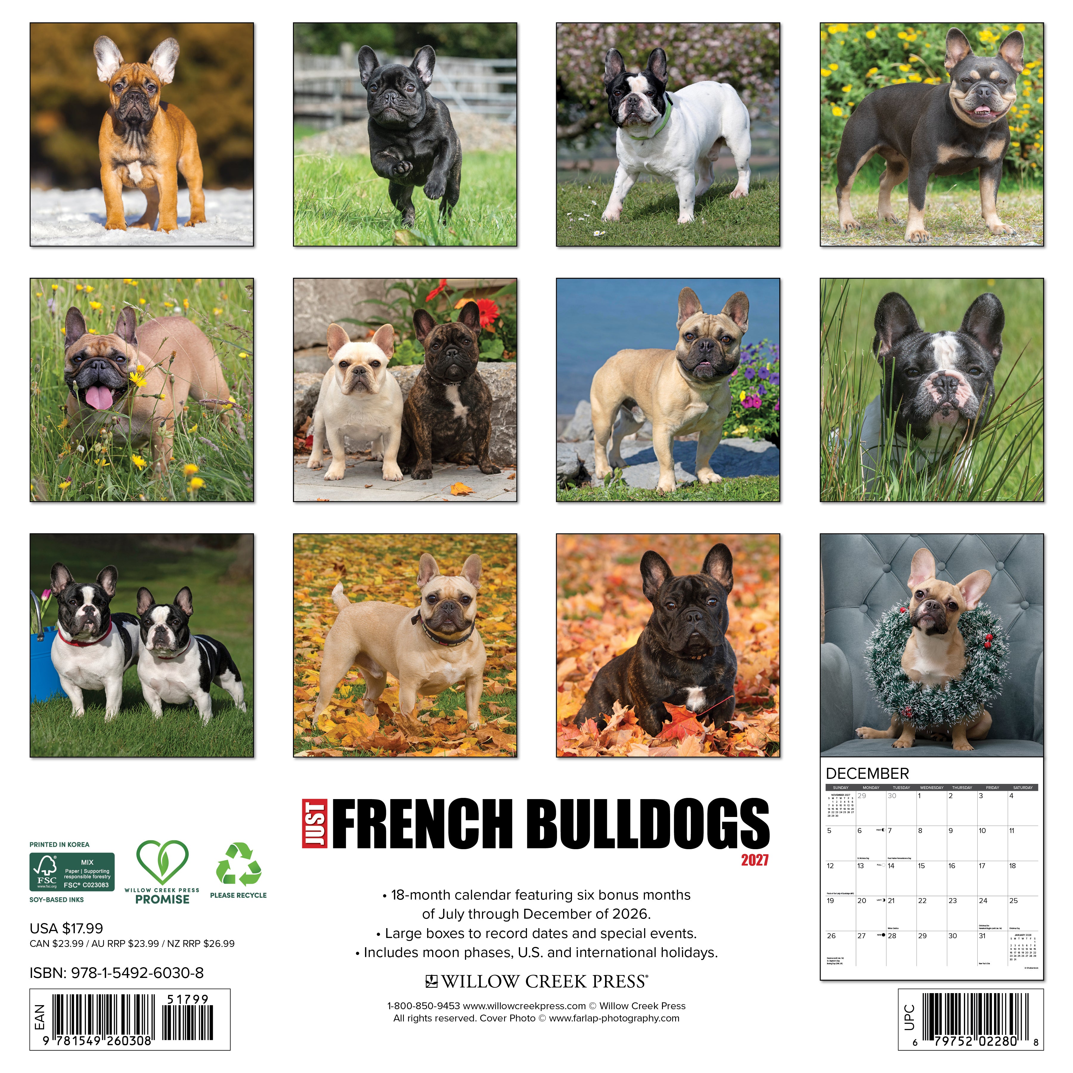Willow Creek Press, French Bulldogs 2027 Wall Calendar