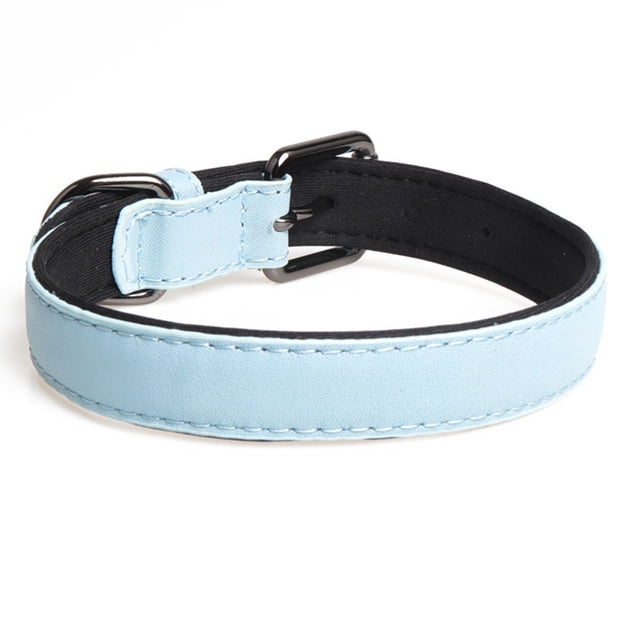 Collar de cuero para perros Dinheiro, collar para mascotas acolchado ajustable con cierre de aleación