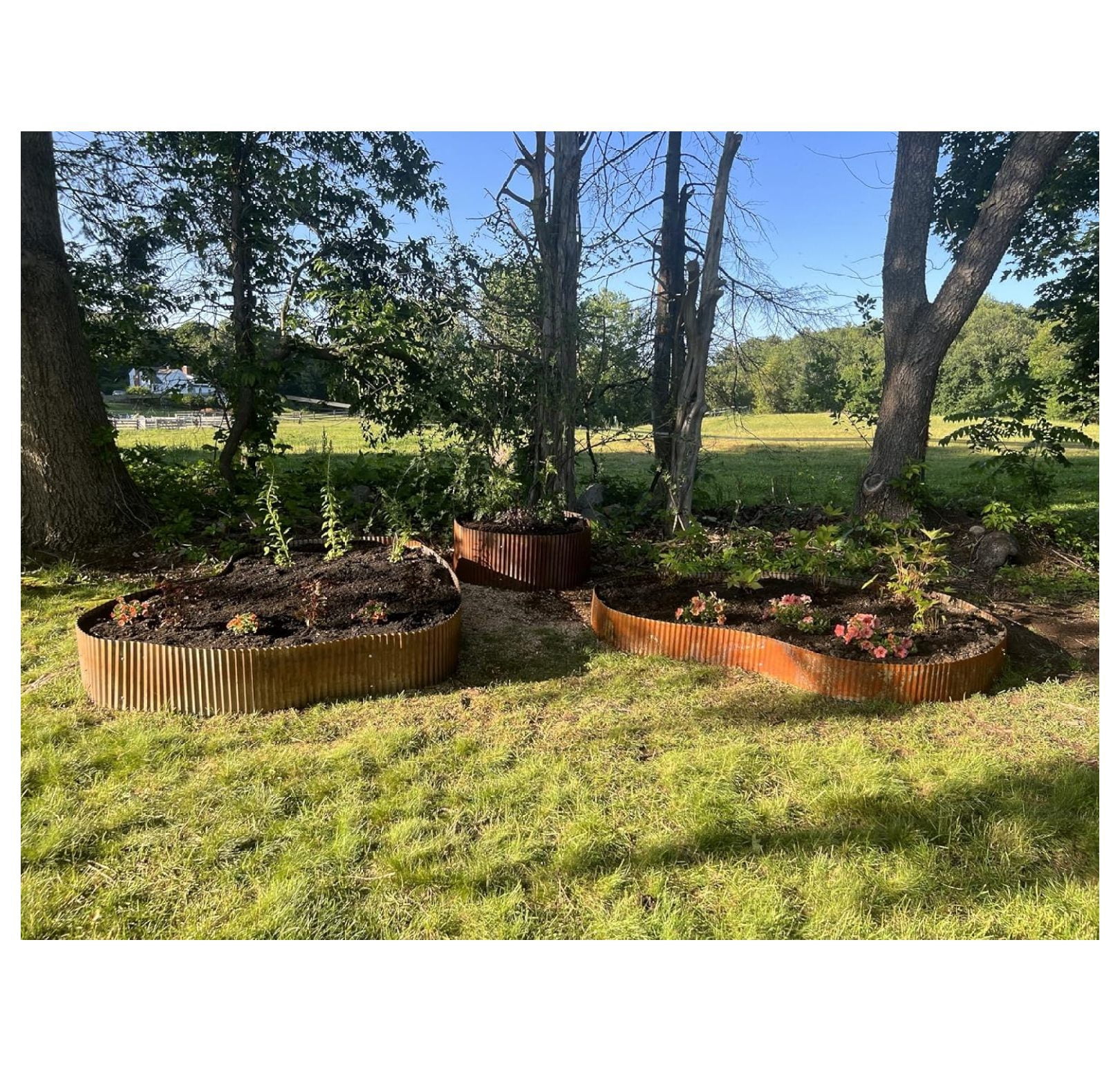 Steel Rustic Metal Landscape Edging (15in W x 10ft L Rolls, Rusted)