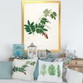 thumbnail image 3 of Designart 'Ancient Botanicals XI' Farmhouse Framed Art Print, 3 of 4
