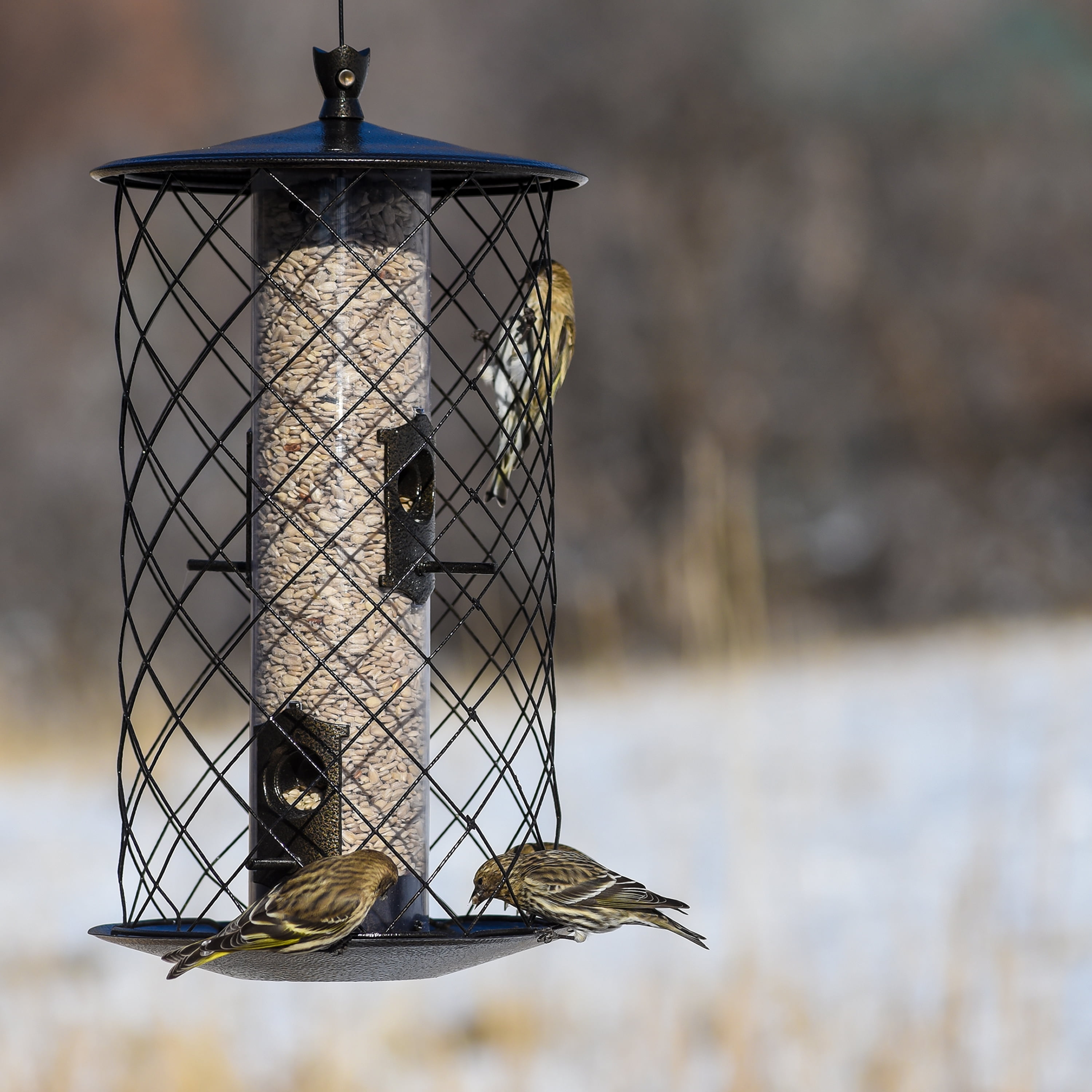 Outdoor Seasons 3 Lb. Capacity Preserve Bird Feeder
