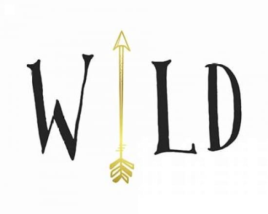 Wild Arrow Canvas A