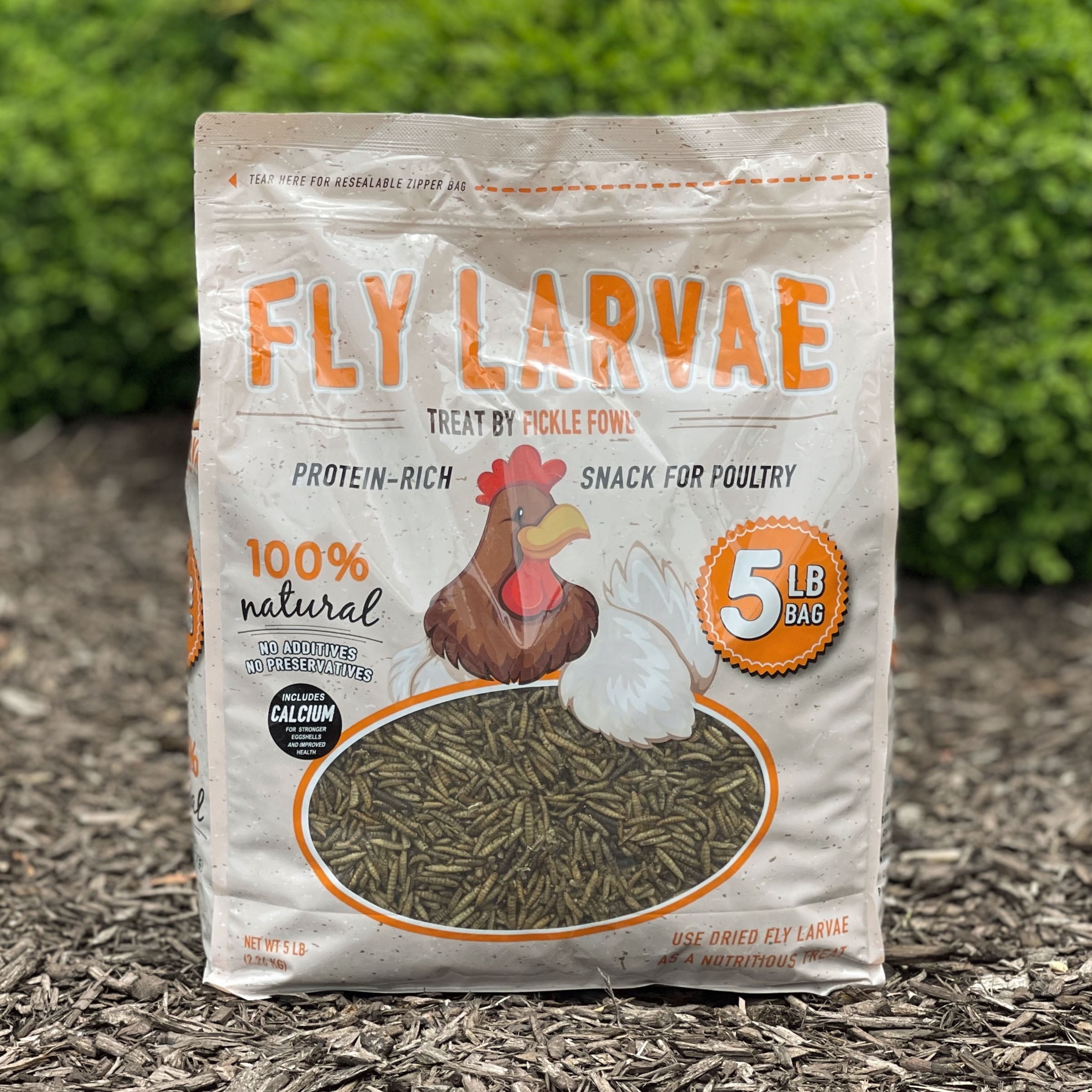 (4 pack) Fickle Fowl Black Soldier Fly Larvae 5 lbs Bag for Chickens, Wild Birds, Reptiles, and Small Pets