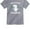 Gray, variant on "Brother Saurus" Tee for Boys: Perfect T-Rex Themed Big Brother Shirt - Unique Father's Day & Birthday Gift, Ideal Pregnancy Announcement Apparel - 2T Gray