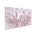 thumbnail image 2 of Trademark Fine Art 'Double Pink Tulip' Canvas Art by Cora Niele, 2 of 3