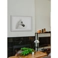 thumbnail image 4 of Marmont Hill "White Beauty" Framed Painting Print, 4 of 6