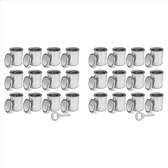 24 Pack Empty Paint Cans with Lids 0.4 Quart Tin Unlined Paint Bucket, Unlined Paint Bucket for Crafts DIY Projects,2set x empty paint cans 1 gallon,Silver