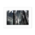 thumbnail image 1 of Forestry Sunshine Science Nature View Photo Mount Frame Picture Art Painting Desktop 5x7 inch, 1 of 3
