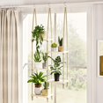 thumbnail image 1 of Estante colgante para plantas, madera Bamworld, 5 niveles, ventana interior, 1 of 9