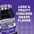 thumbnail image 2 of Smucker's Concord Grape Jelly 18 oz. (Pack of 18), 2 of 3
