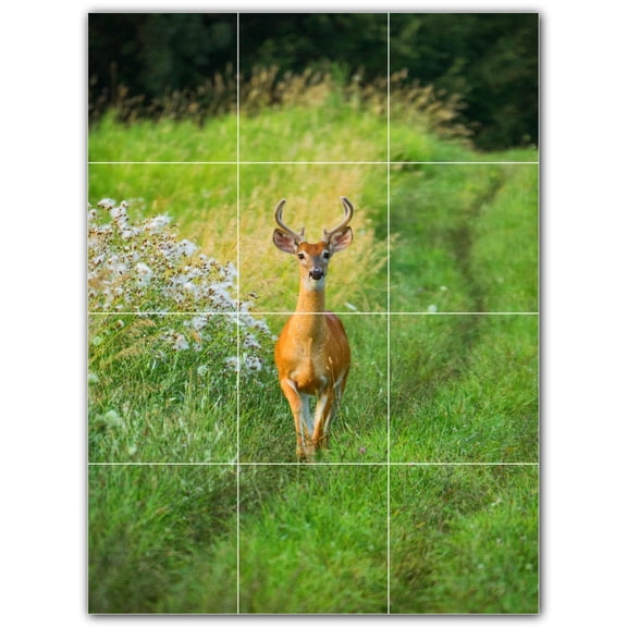 Picture-Tiles.com: Deer Ceramic Tile Wall Mural WAL500442-34M. 18"W x 24"H using (12) 6" x 6" Ceramic Tiles-Satin Finish