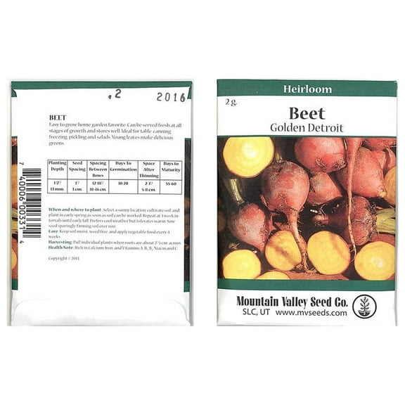 Golden Detroit Beet Seeds - 2 Gram Packet - Non-GMO, Heirloom - Root Vegetable Gardening Seeds