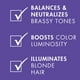 thumbnail image 3 of Combo de champú y acondicionador Nexxus Blonde Purple 400 ml, 3 of 6