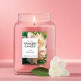 thumbnail image 2 of Yankee Candle Lush Gardenia Original Large Jar Scented Candles, 22 oz, 2 of 6