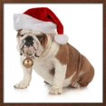 thumbnail image 2 of Christmas Dog  English Bulldog Wearing Santa Hat Holding Christmas Bell, Animals Seasons Framed Art Print Wall Art by Willee Cole Sold by Art.Com, 2 of 6