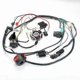 thumbnail image 3 of Motorcycle ATV Quad Pit Bike Buggy Go Kart Full Complete Electrics Wiring Harness CDI STATOR 6 Coil, 3 of 5