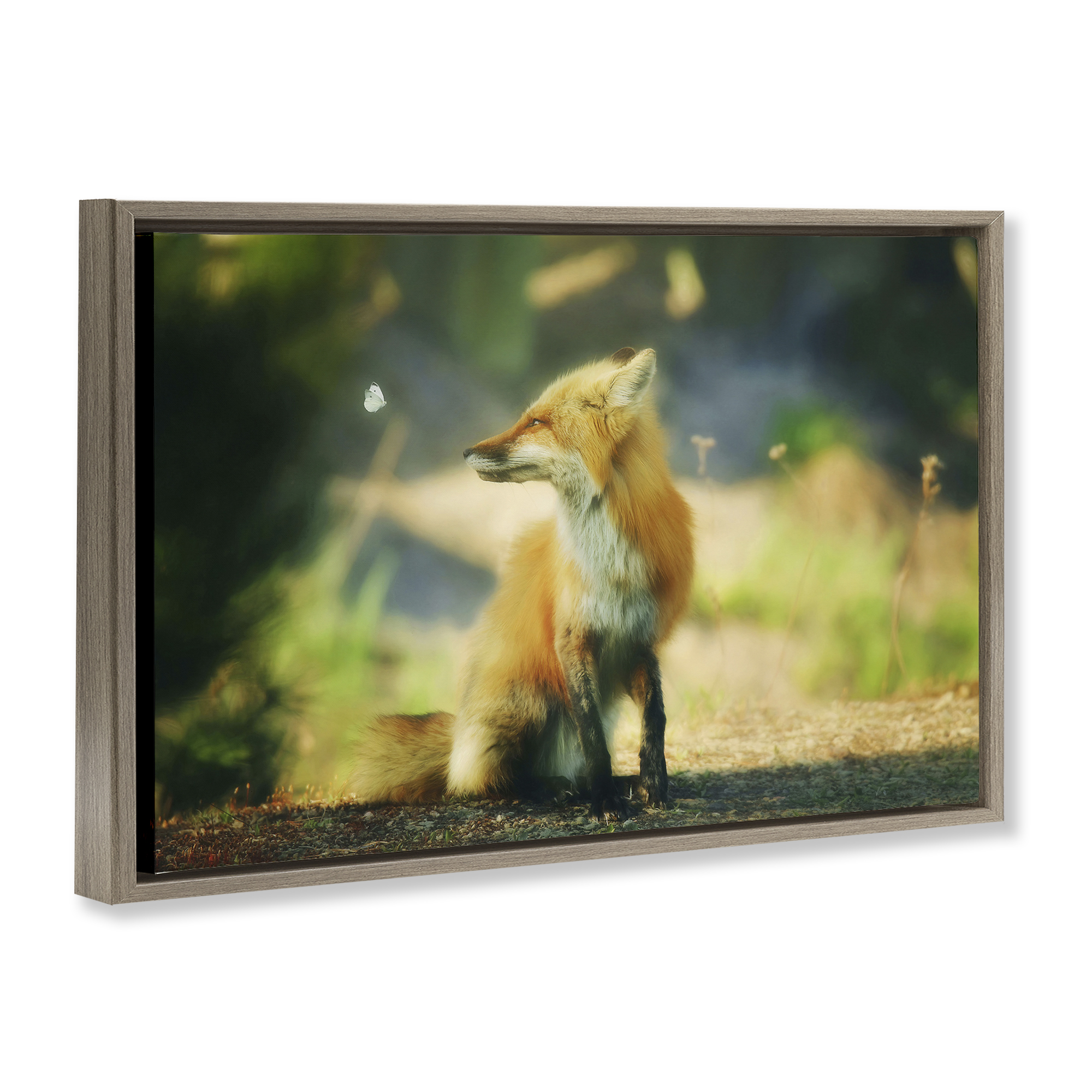 Stupell Industries Fox Kit & Butterfly Animals & Insects Photography Brown Floater Framed Canvas Art Print Wall Art, 25 x 17