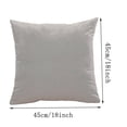 thumbnail image 2 of Dvumao Solid Color Velvet Pillow Cover, Sofa Cushion Cover for Living Room and Bedroom, Hidden Zipper, Machine Washable, 2 of 5