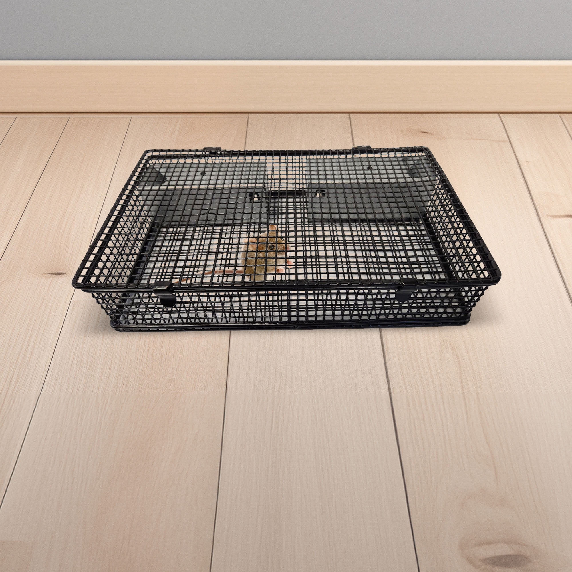 Rugged Ranch Products Mousinator Metal Wire Mouse Trap for Pest