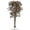160cm, variant on Senfot 180cm Artificial Bougainvillea Tree Polyester Cloth Wooden Stem Lifelike Fake Blossom Floor Plant Single Piece for Bedroom Hallway Outdoor Garden Decor