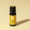 thumbnail image 6 of Plant Therapy Immune Aid Essential Oil Blend 10 mL (1/3 oz) 100% Pure, Undiluted, Natural Aromatherapy, 6 of 8