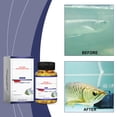 thumbnail image 4 of Hxlamzoo Fish Tank Water Purification, 2025 New Popular Water Quality Stabilizer, 4 of 9