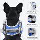 thumbnail image 3 of Chaleco para perros, arneses de entrenamiento para perros sin tirones con asa y correa, ajustable y reflectante para mascotas caminando y corriendo (azul), 3 of 6