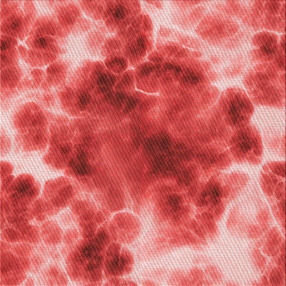 Ahgly Company Machine Washable Indoor Square Transitional Red Area Rugs, 6' Square
