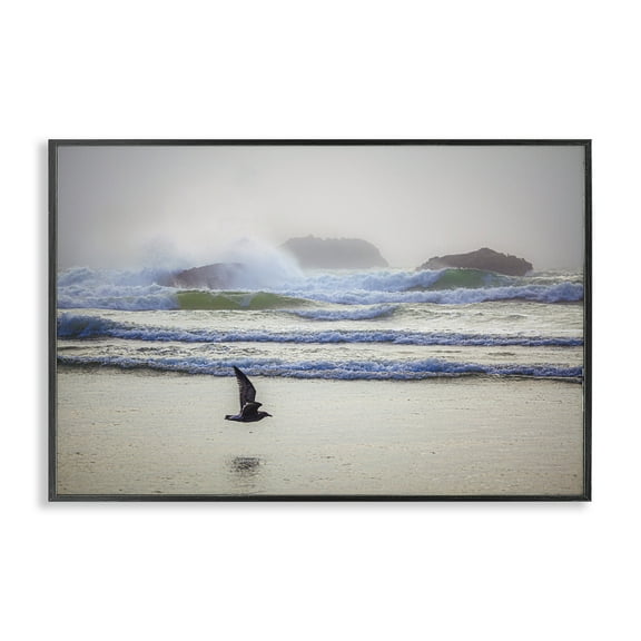 Stupell Industries Flying Low over Shore Landscape & Nature Photography Black Framed Art Print Wall Art, 18 x 12