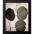 thumbnail image 2 of Van Swearingen, Debra 15x18 Black Modern Framed Museum Art Print Titled - Eucalyptus Sepia, 2 of 5
