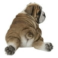 thumbnail image 3 of Lying Bulldog Pup, 3 of 5