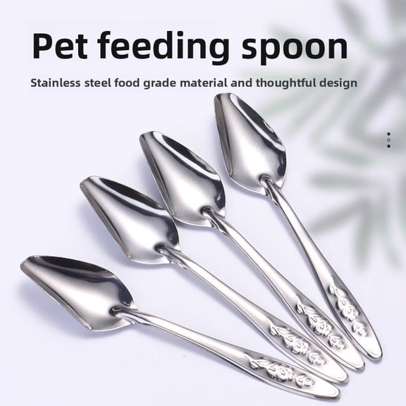 4PCS Stainless Steel Hand Feeding Spoon for Baby Birds, 4.53 Inch Pet Nursing Spoon for Parrot, Finch, Cockatiel, Budgie Hand-rearing Feeding Tool