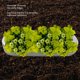 thumbnail image 3 of Kit De Cama De Jardín Elevada – Camas Elevadas Para Jardinería – Jardinera De Metal Antioxidante Camas Elevadas Para Flores, Verduras –Camas De Jardín De Base Abierta Al, 3 of 7