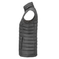thumbnail image 3 of James Harvest Gilet Rembourré pour Femmes, 3 of 4
