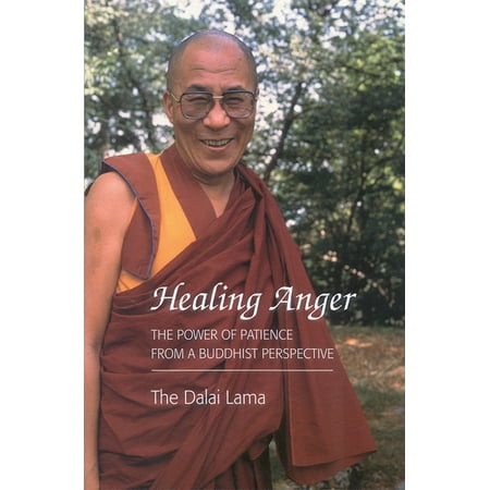 Healing Anger : The Power of Patience from a Buddhist Perspective
