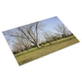 thumbnail image 3 of Print: Rural Alabama In The Spring, 2010, 3 of 4
