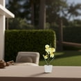 thumbnail image 4 of unbranded Centro De Con Artificial En Maceta Para Ambiente Residencial, 4 of 8