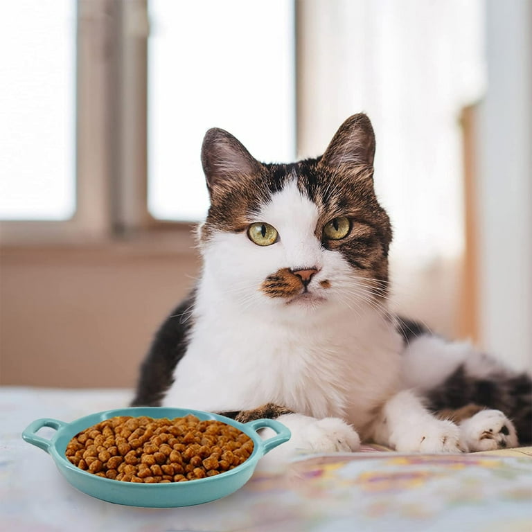 Cat food cheap dish