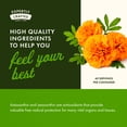 thumbnail image 6 of Swanson Astaxanthin & Zeaxanthin Eye Vision Brain Skin Health Antioxidant Support Supplement (Astaxanthin 4 mg & OmniXan Zeaxanthin 4 mg) 60 Softgels Sgels, 6 of 8